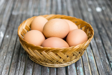 Fresh chicken eggs