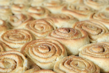 A detail of cinnamon buns. 