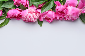 Beautiful peony flowers on light background