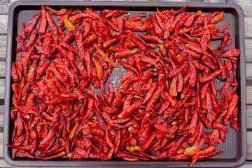 Fototapeta premium Dried chillies on the tray