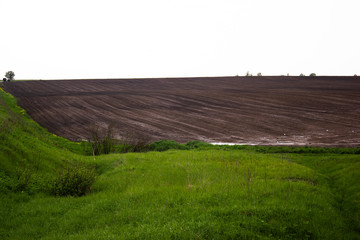 field rural landscape