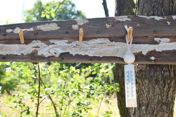 Thermometer water temperature