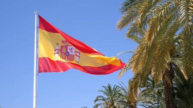 A big Spanish flag blows in the wind next to palm trees in the center of the city Elche at the Palm Park. The sky is blue and the sun is shining. Slow motion 4k.