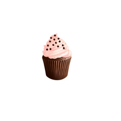 cupcake isolated on white background