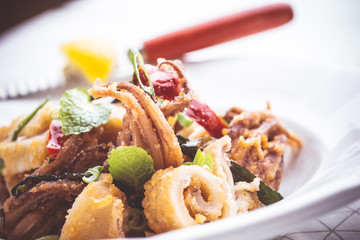 Fried Squid Calamari with Chili Pepper in Rustic White Plate