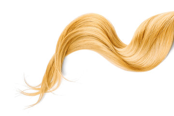Blond hair isolated on white background. Long wavy ponytail