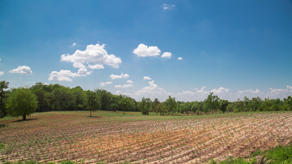 plowed field and blue sky