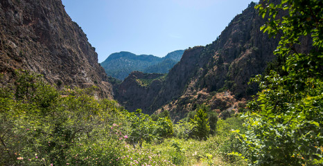 butterfly valley