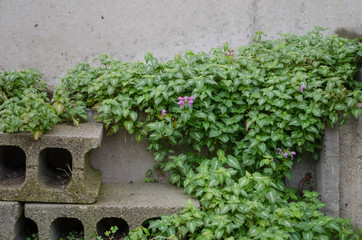 積まれたブロック