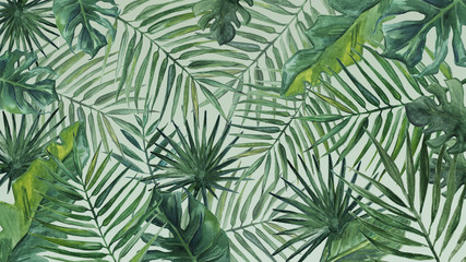 Naklejka na ściany i meble Watercolor background with palm leaves.