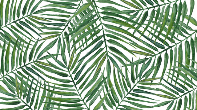 Watercolor background with palm leaves.