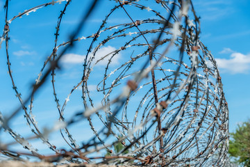Barbed wire coiled around a fence against a blue sky