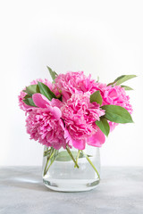 Bouquet of pink peony in vase for text on white. Mothers day. Interior.