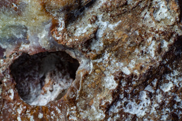 Texture of natural untreated mineral opal closeup