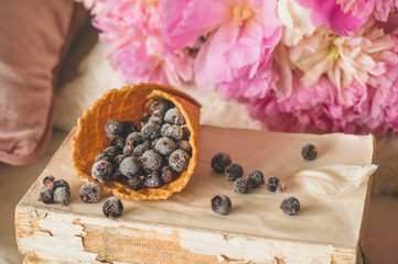 View of frozen berries blackcurrant redcurrant blueberry in home interior of living room. Cozy...