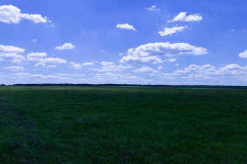 field in late spring and blue sky with white clouds