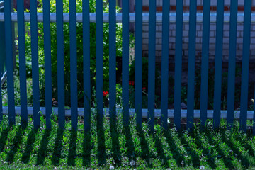 blue fence,bench and striped shade on a Sunny summer day
