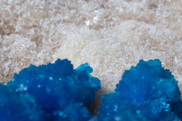 Natural untreated cluster of blue cavansite macro