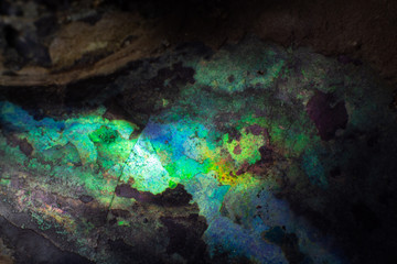 Texture of natural untreated pearl ammonite macro