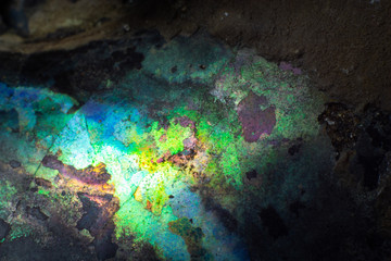 Texture of natural untreated pearl ammonite macro