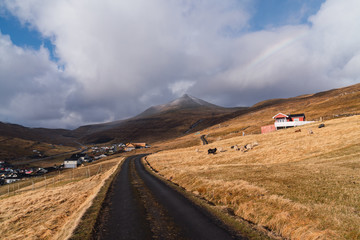 Countryside road to village