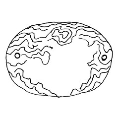 Handdrawn wooden banner. Sketch vector illustration.