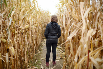 Young woman having fun on pumpkin fair at autumn. Person walking among the dried corn stalks in a...