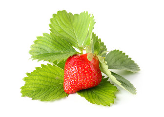 Ripe red strawberry and leaves on white background