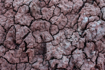 Background, texture of the earth. Natural abstraction