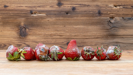 schimmlige Erdbeeren in einer Reihe vor altem Holz