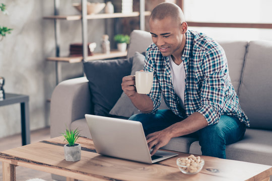 Portrait of nice charming guy interested have device social media read news novelty hold hand  mug beverage sit divan dressed checkered clothing room light 