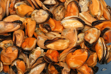 Mussels Sea Food