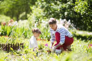 Grandmother with her granddaughter working in the garden.