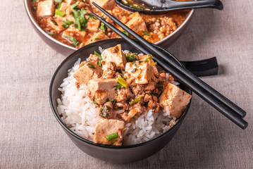 Traditional Chinese Sichuan cuisine - a bowl of rice with mapo tofu on a rustic background