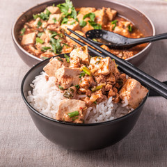 Traditional Chinese Sichuan cuisine - a bowl of rice with mapo tofu on a rustic background