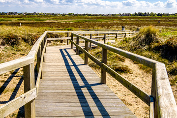 Fototapeta premium path at the dunes