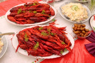 Crayfish and lobster party Sweden