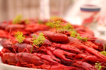 Crayfish and lobster party Sweden