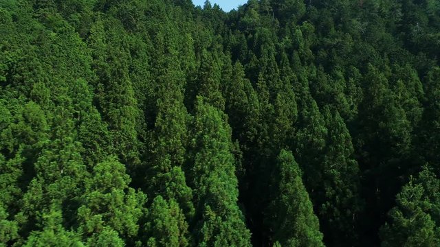 山・ドローン撮影