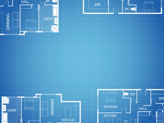 Blueprint vector floor plan apartment. Professional house placement furniture. With bedroom, kitchen, dressing room, toilet. Illustration of the architectural solution of apartment interior
