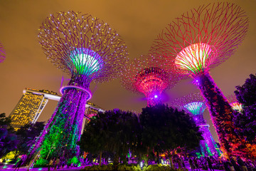 SINGAPORE - APRIL 25 2019 : Singapore Night Skyline at Gardens by the Bay. SuperTree Grove under Blue Night Sky in Singapore. Cityscape and city skyline in Singapore.