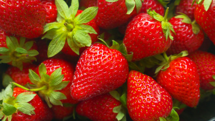 Beautiful juicy berry Victoria filmed close-up