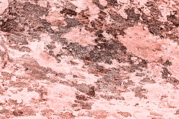 Vintage pink background. Rough painted wall of living coral color. Imperfect plane of beige colored. Uneven old decorative toned backdrop of beige tint. Texture of pink hue. Ornamental stony surface.