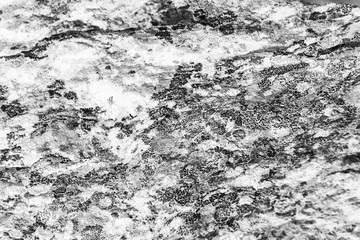 Vintage monochrome background. Rough painted wall of black and white color. Imperfect plane of grayscale. Uneven old decorative backdrop. Texture of black-white. Monochromatic ornamental stony surface
