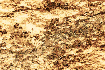 Vintage yellow background. Rough painted wall of aspen gold color. Imperfect plane of golden colored. Uneven old decorative toned backdrop of yellow tint. Texture of gold hue. Ornamental stony surface