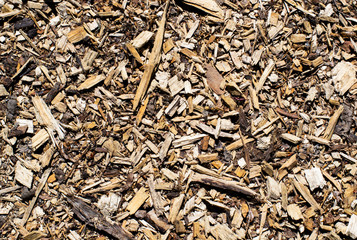 pile of wood shavings