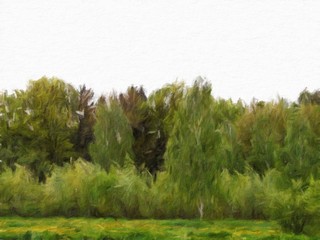 Digital painting - forest background