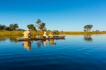 Mokoro, Okavango Delta, Botswana, Africa