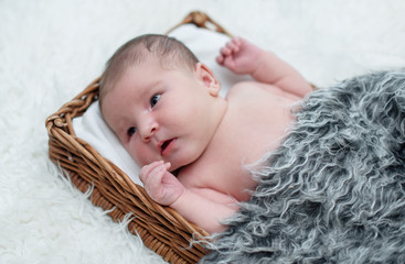 newborn baby girl in the basket