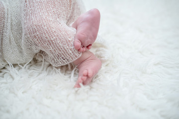 heels of a newborn baby. selective focus